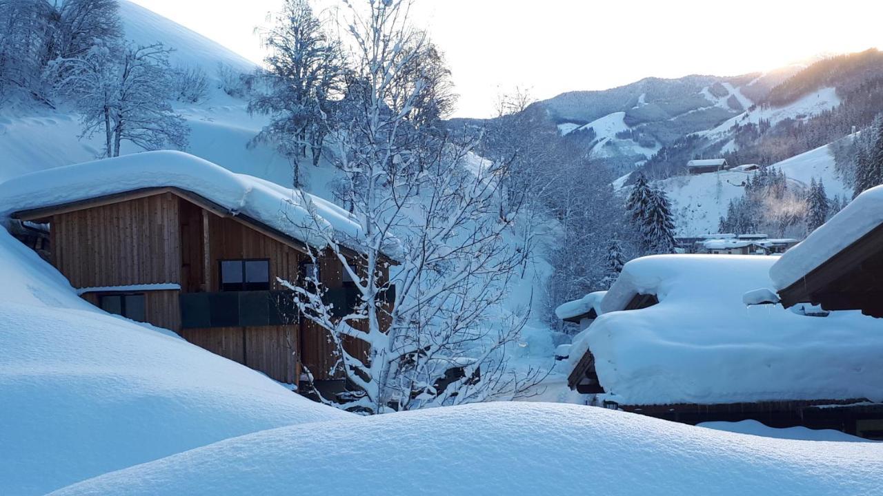 Ablon Chalet Saalbach